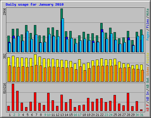 Daily usage for January 2010