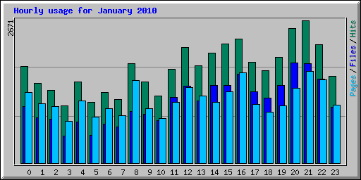 Hourly usage for January 2010